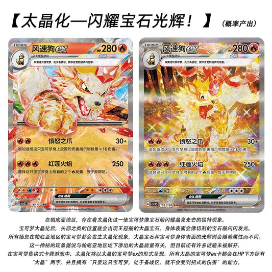 PTCG 簡體中文寶可夢集換式卡牌 11.0 無畏塔魯特精裝盒